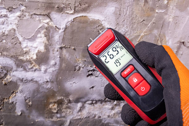 Best Mold Remediation for Schools in Port Jervis, NY