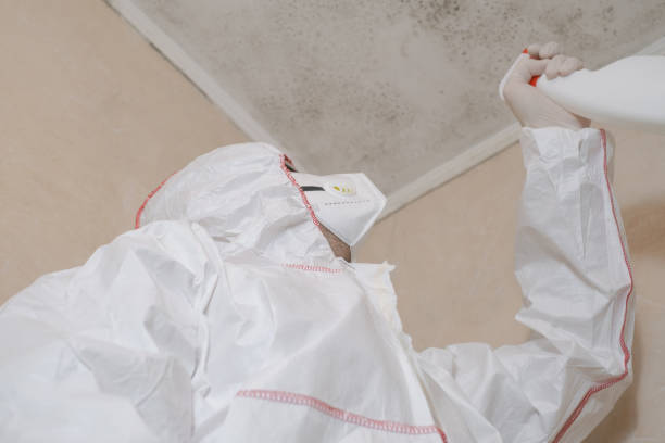 Best Industrial Mold Remediation in Port Jervis, NY